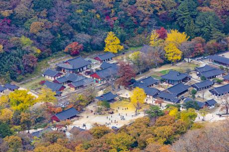 2019.10월 대흥사 전경사진(가을).jpg 이미지